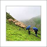 AGRANDIR LA PHOTO