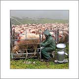 AGRANDIR LA PHOTO