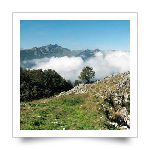 ecole du bourg d'asson 